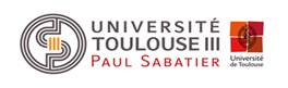 Logo Toulouse